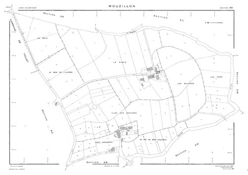 Mouzillon - AD