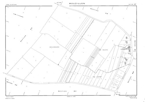 Mouzillon - AP