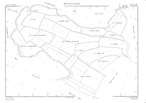 Mouzillon - AX