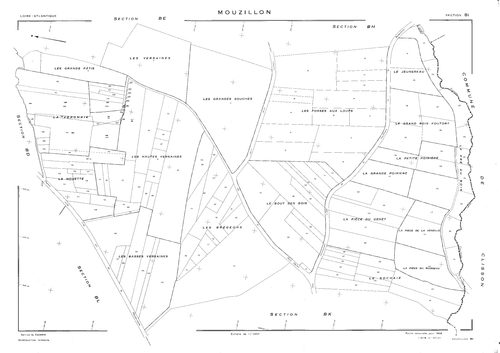 Mouzillon - BI