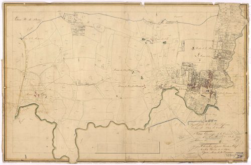 Mouzillon - Section D Bourg (section du)