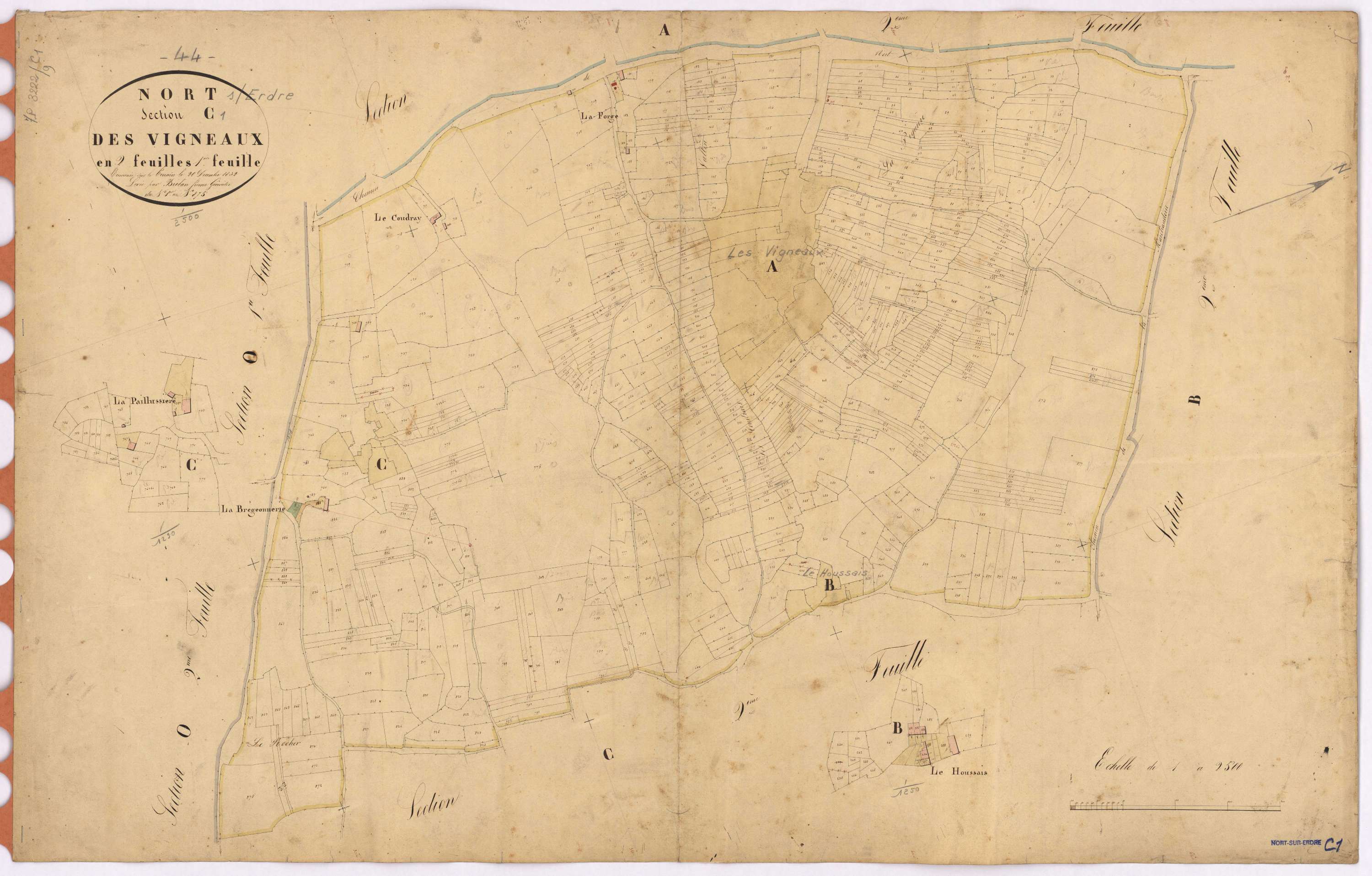 Nort-sur-Erdre - Section C1 Vigneaux (section des) ; 1-875