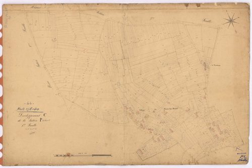 Nort-sur-Erdre - Section P1 (développement) Port-Mulon (section du) ; 1-729 ; développement du village du Plessis-Pas-Brunet, de La Trochette et de diverses parcelles