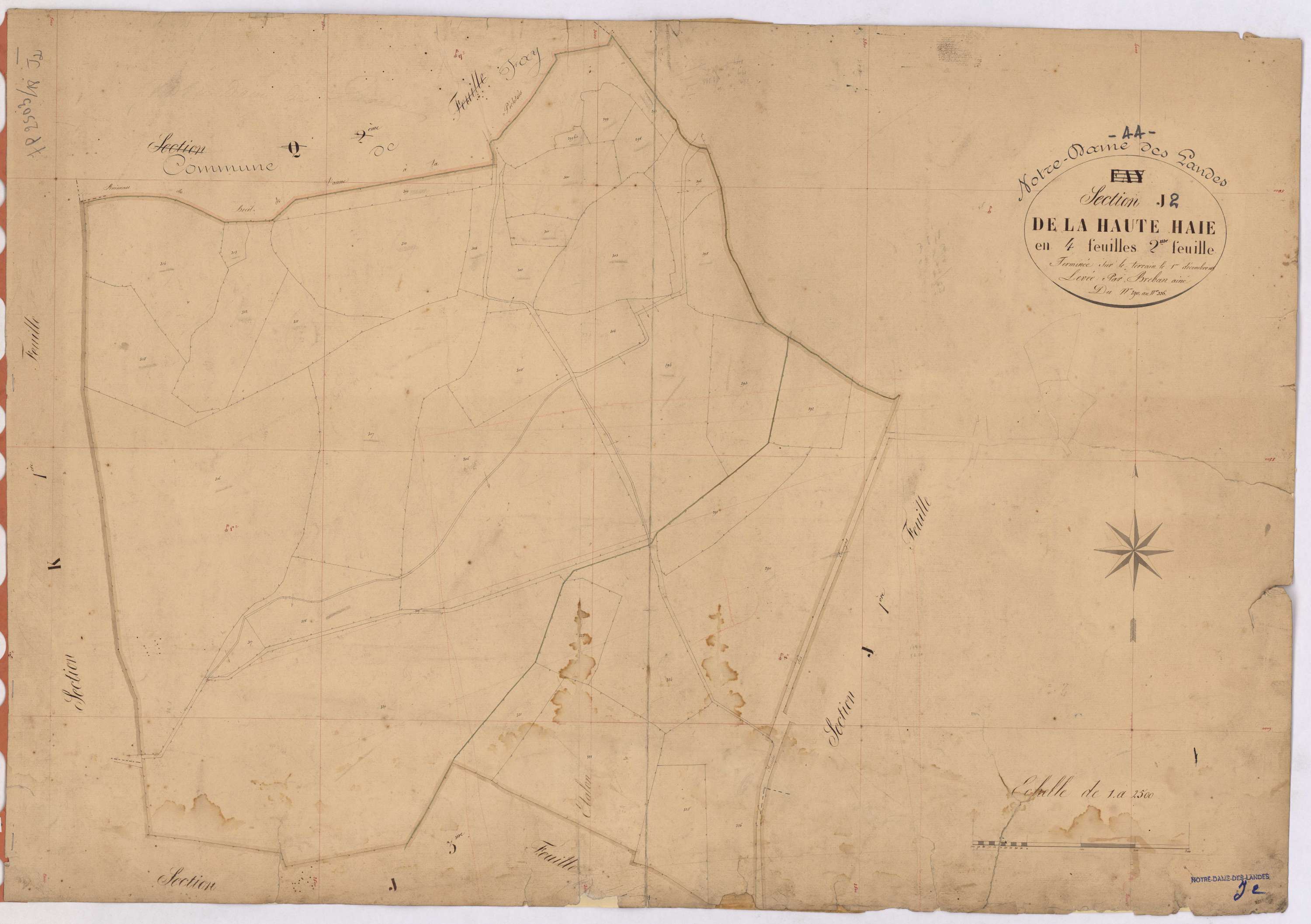 Notre-Dame-des-Landes - Section J2 Haute Haie (section de La) ; 290-316
