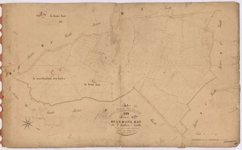 Notre-Dame-des-Landes - Section J1 Haute Haie (section de La) ; 1-289