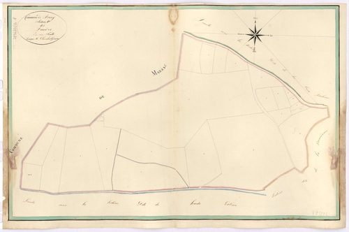 Nozay - Section P Landes (section des)