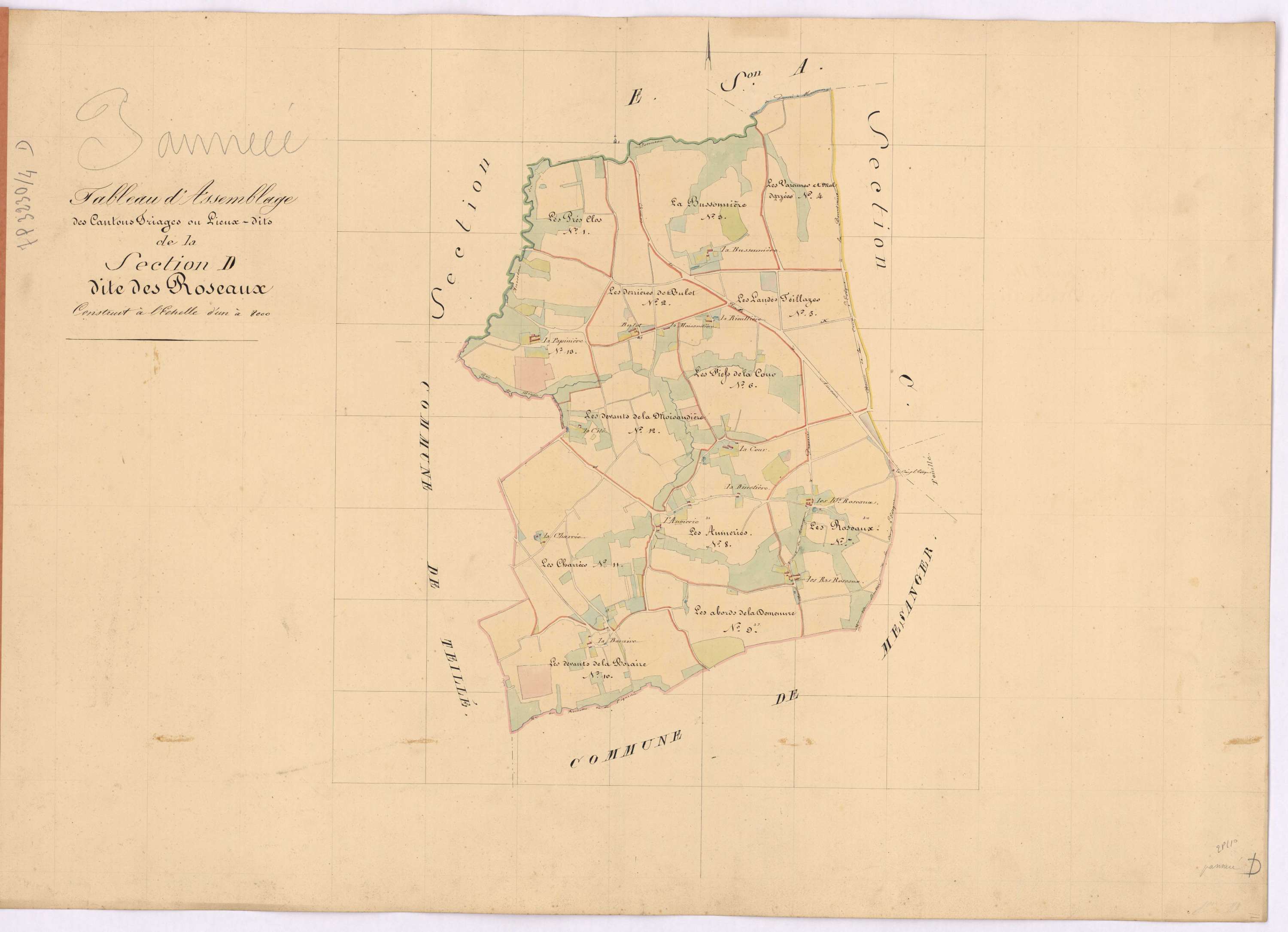 Pannecé - Section D Roseaux (section des)