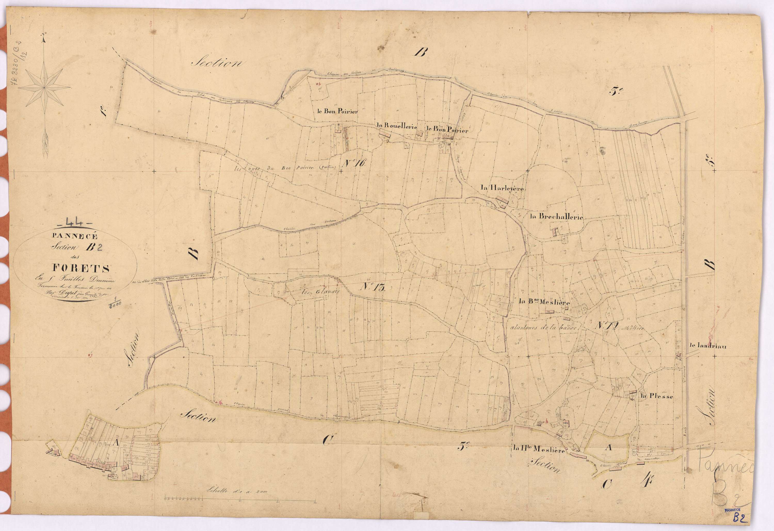 Pannecé - Section B2 Forêts (section des)