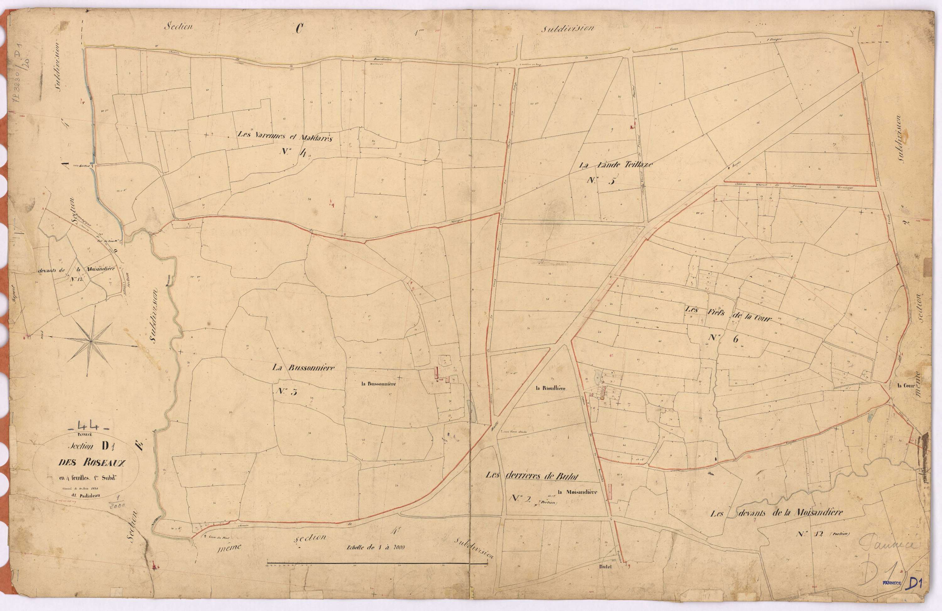 Pannecé - Section D1 Roseaux (section des)