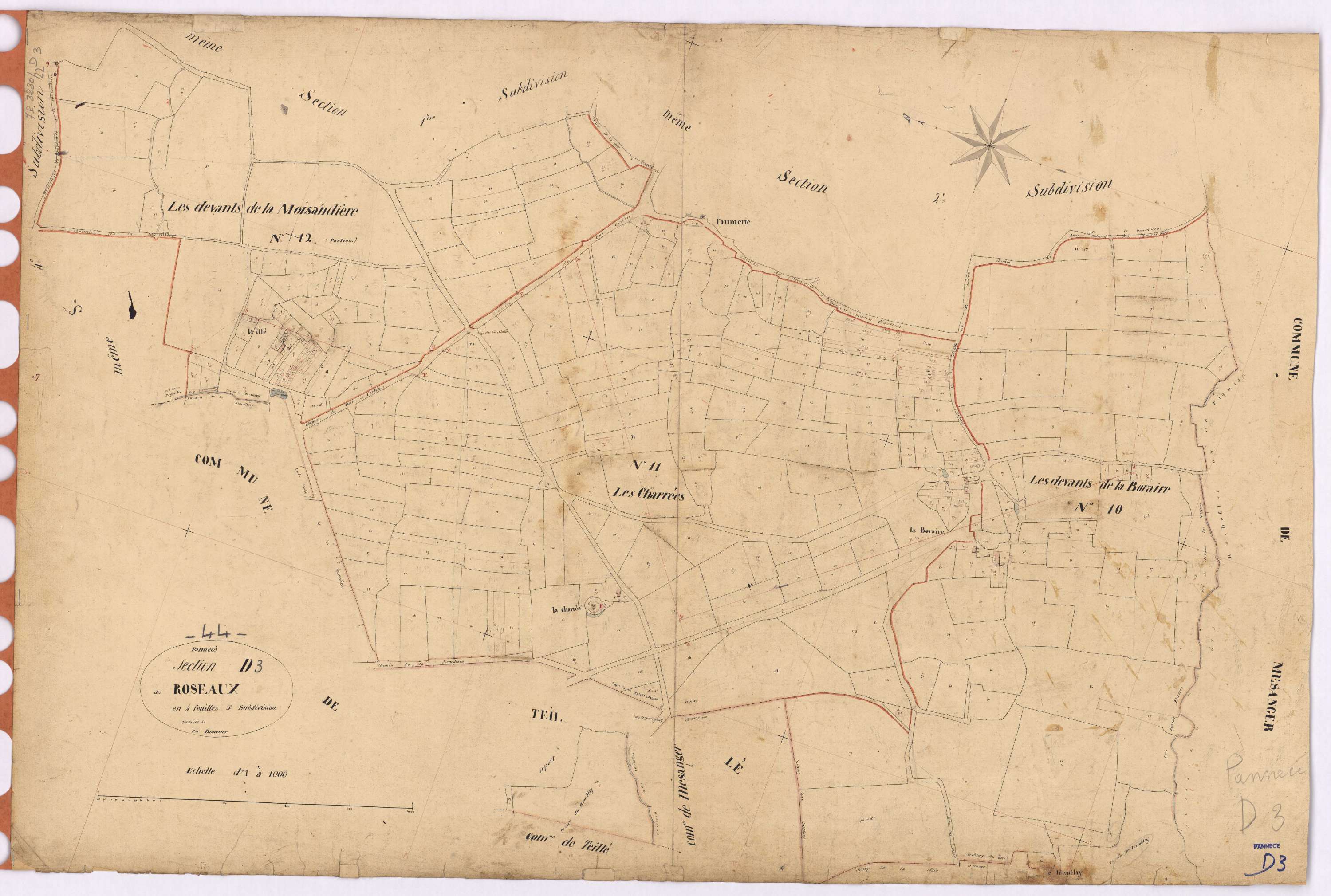 Pannecé - Section D3 Roseaux (section des)
