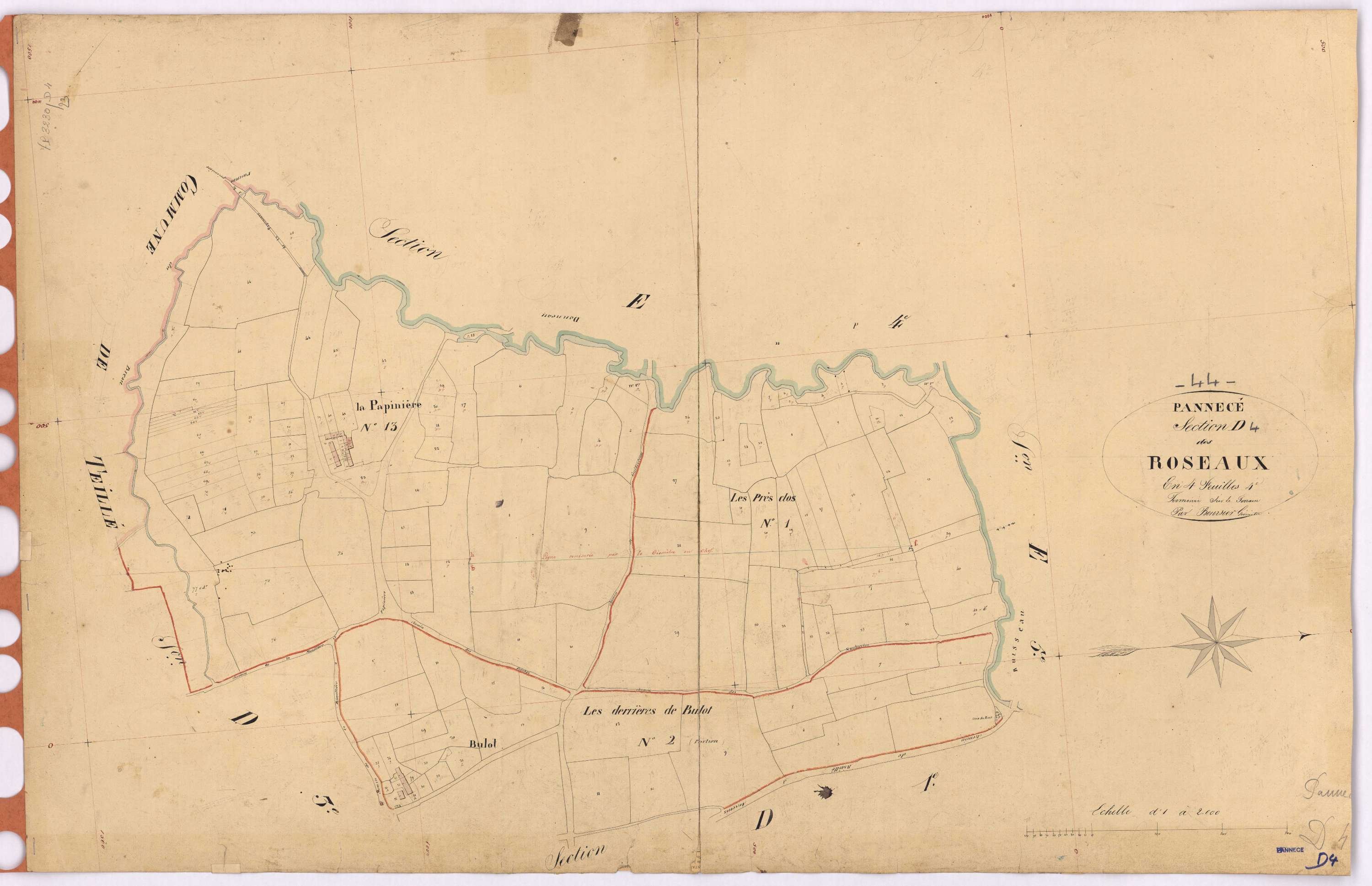 Pannecé - Section D4 Roseaux (section des)