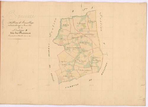 Pannecé - Section D Roseaux (section des)