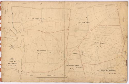 Pannecé - Section D1 Roseaux (section des)