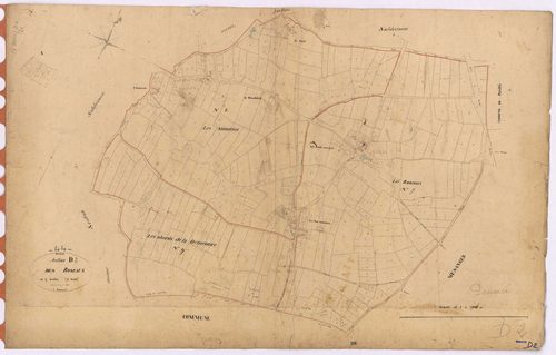 Pannecé - Section D2 Roseaux (section des)
