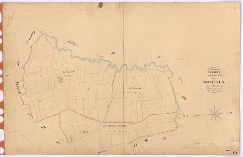 Pannecé - Section D4 Roseaux (section des)