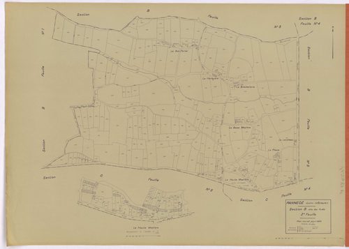 Pannecé - Section B2 Forêts (section des) ; 207-541