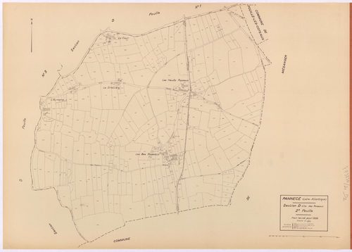 Pannecé - Section D2 Roseaux (section des) ; 231-573