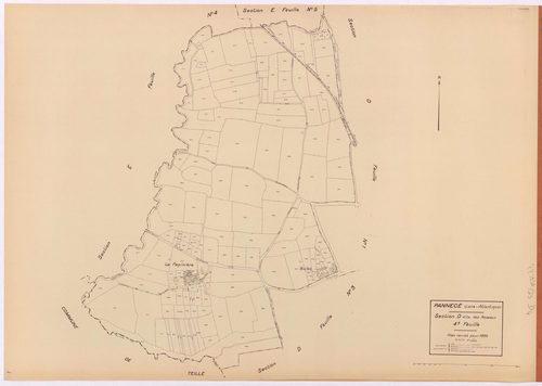 Pannecé - Section D4 Roseaux (section des) ; 813-979
