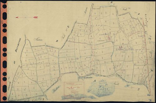 Pannecé - Section B1 Forêts (section des) . 1-206