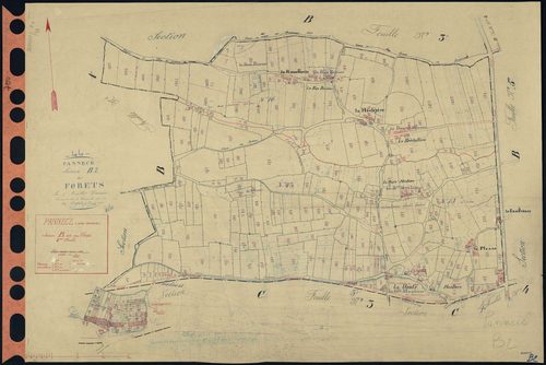 Pannecé - Section B2 Forêts (section des) . 207-541