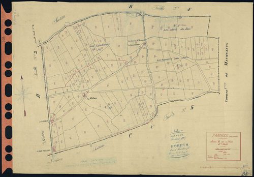 Pannecé - Section B5 Forêts (section des) . 813-972