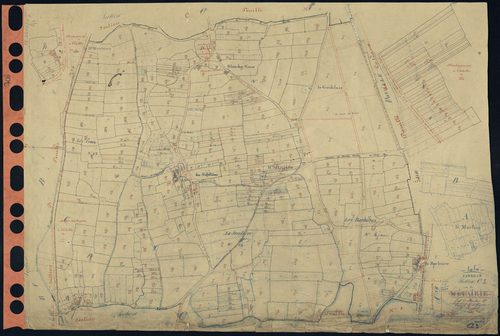 Pannecé - Section C3 Métairie (section de La) . 558-982
