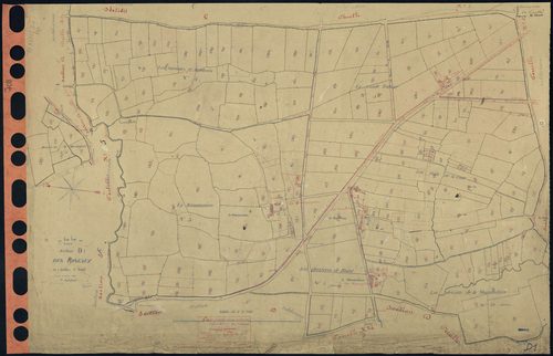 Pannecé - Section D1 Roseaux (section des) . 1-230