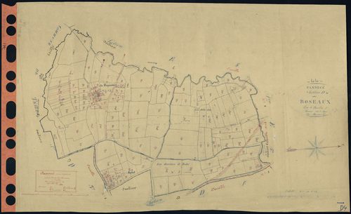 Pannecé - Section D4 Roseaux (section des) . 813-979