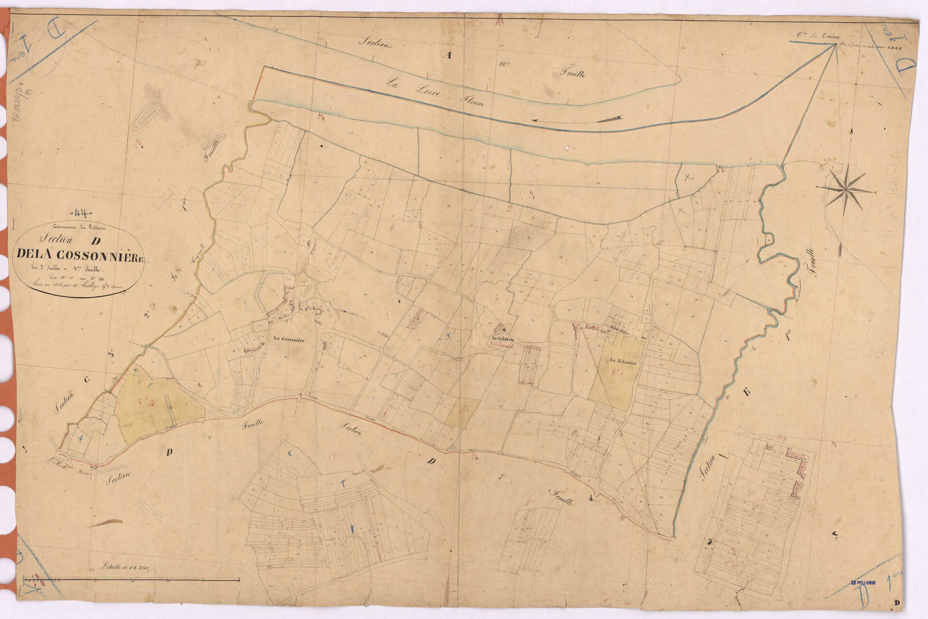 Le Pellerin - Section D1 Cossonnière (section de La) ; 1-488