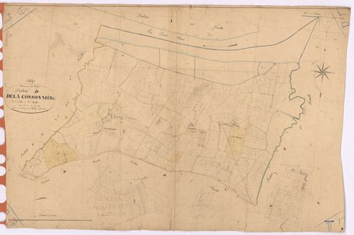 Le Pellerin - Section D1 Cossonnière (section de La) ; 1-488