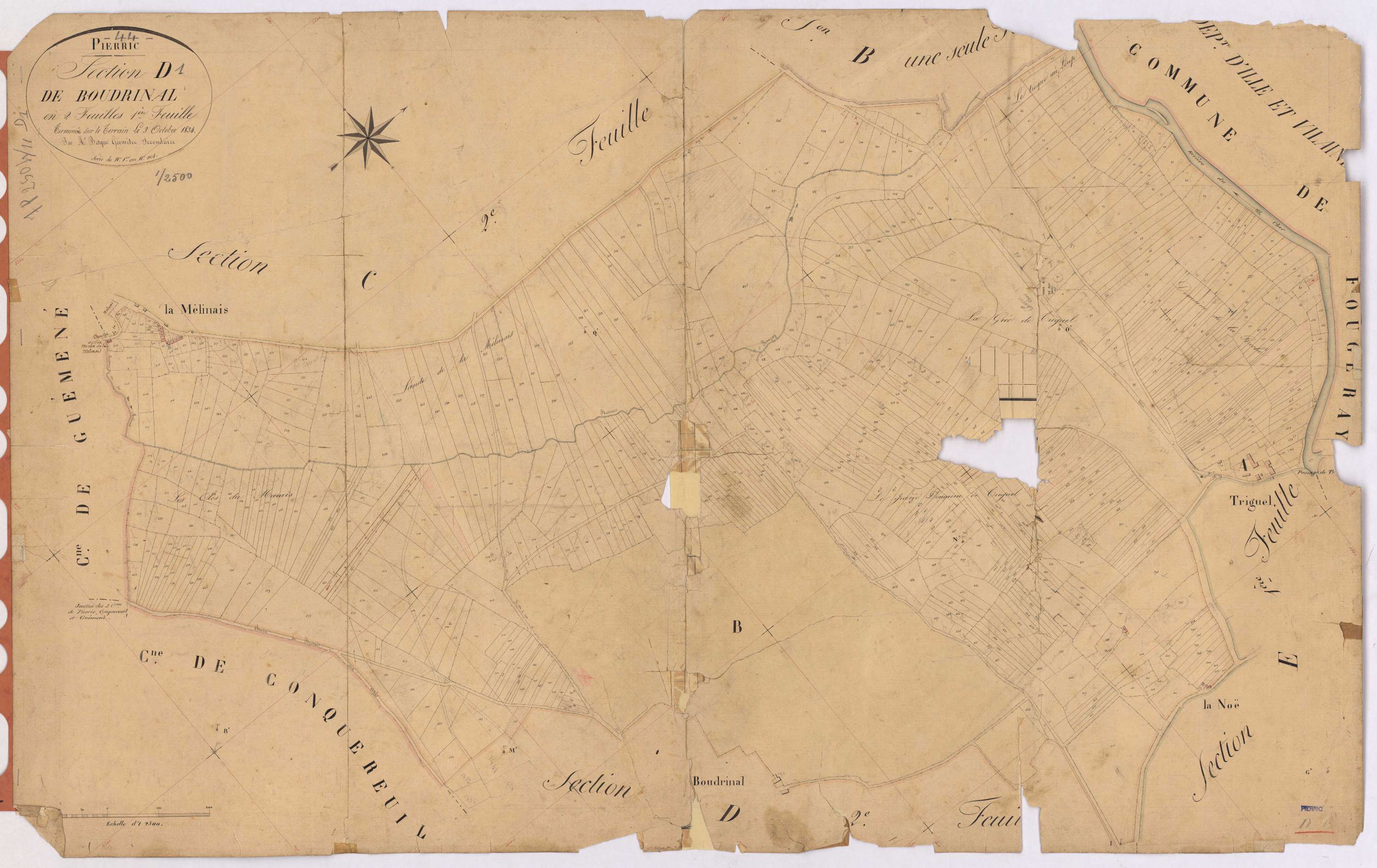 Pierric - Section D1 Boudrinal (section de) ; 1-1104
