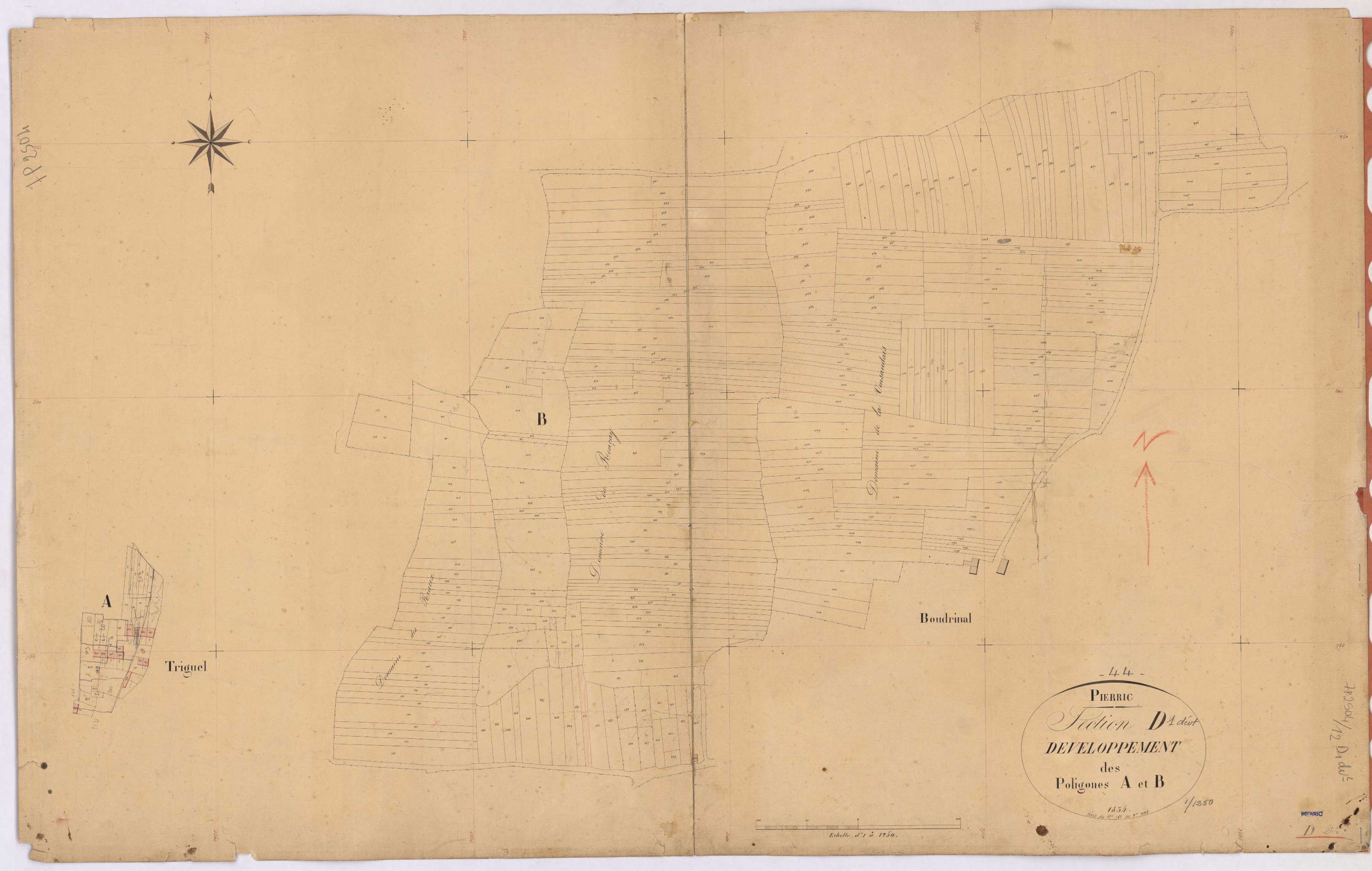Pierric - Section D1 (développement) Boudrinal (section de) ; 1-1104 ; développement du village de Triguel et de diverses parcelles