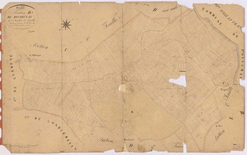 Pierric - Section D1 Boudrinal (section de) ; 1-1104
