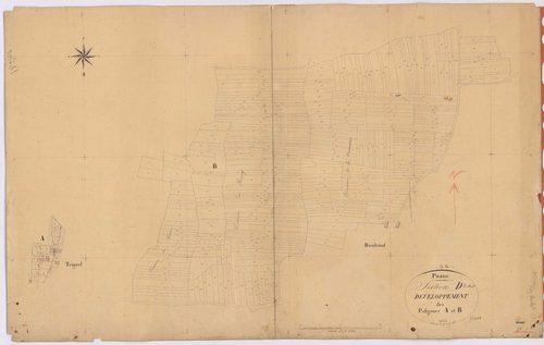 Pierric - Section D1 (développement) Boudrinal (section de) ; 1-1104 ; développement du village de Triguel et de diverses parcelles