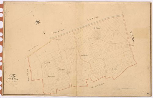 Le Pin - Section D1 Huon (section de) ; 1-294