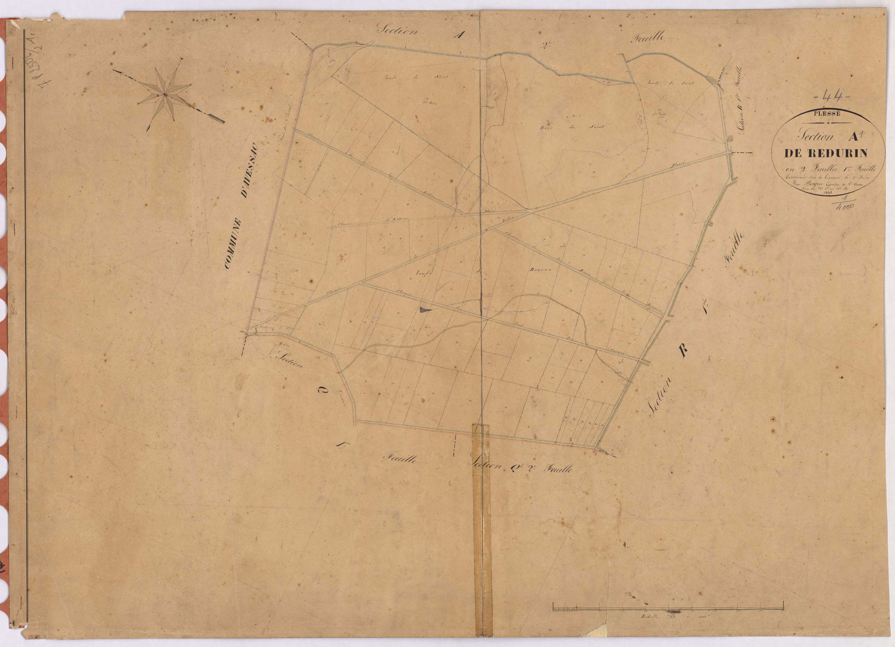 Plessé - Section A1 Redurin (section de) ; 1-81
