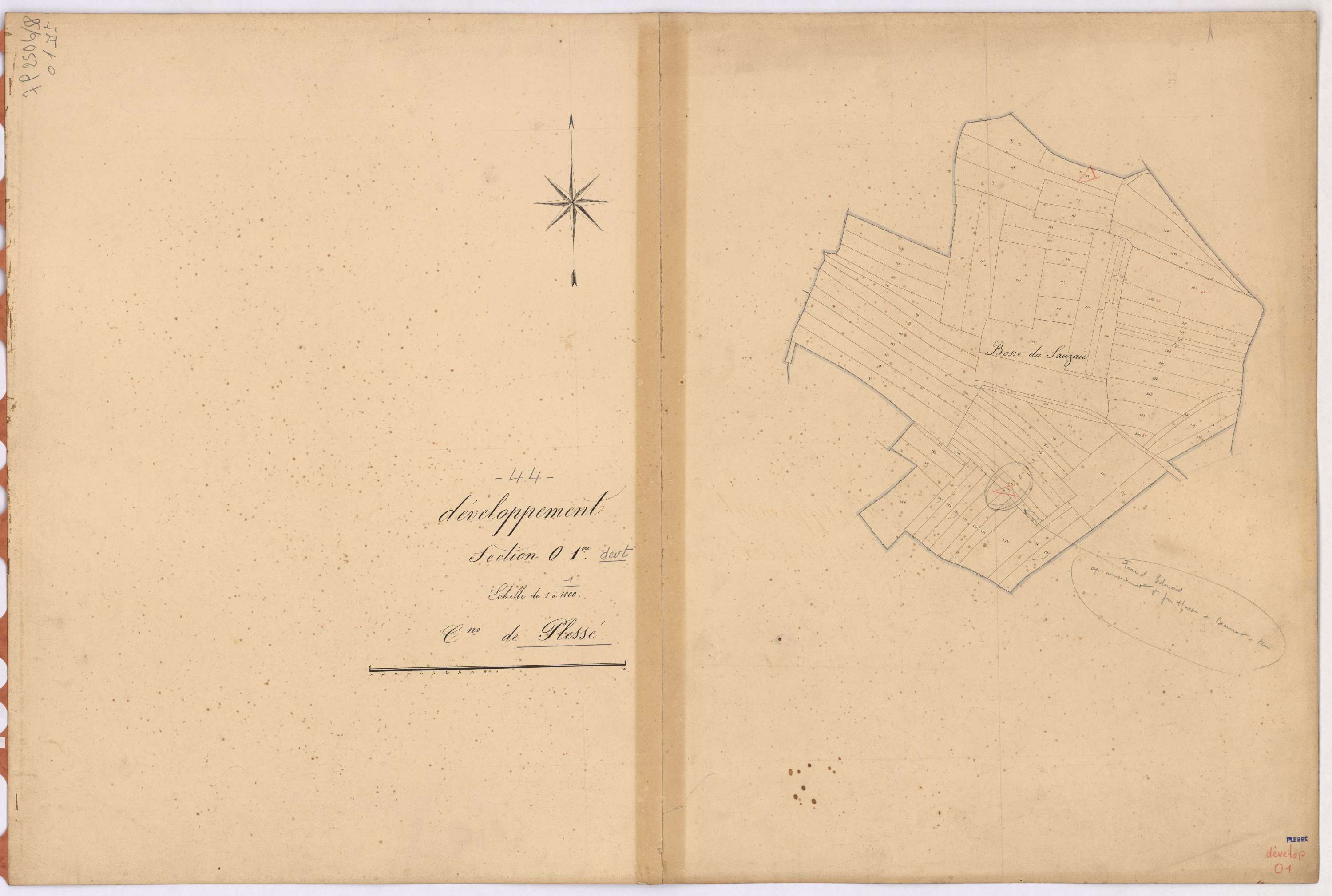 Plessé - Section O1 (développement) Tressé (section de) ; 1-339 ; développement de diverses parcelles