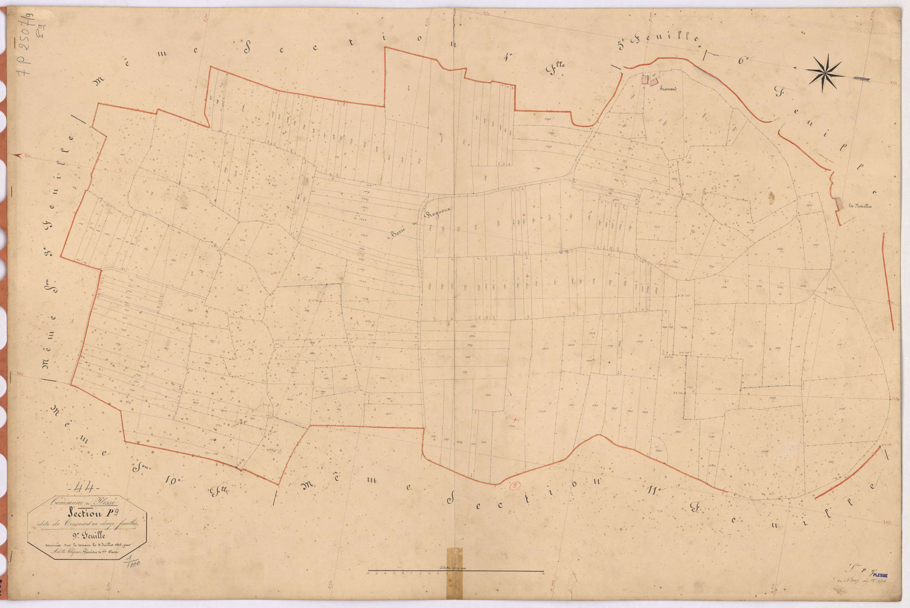 Plessé - Section P9 Tresnard (section de) ; 1285-1506