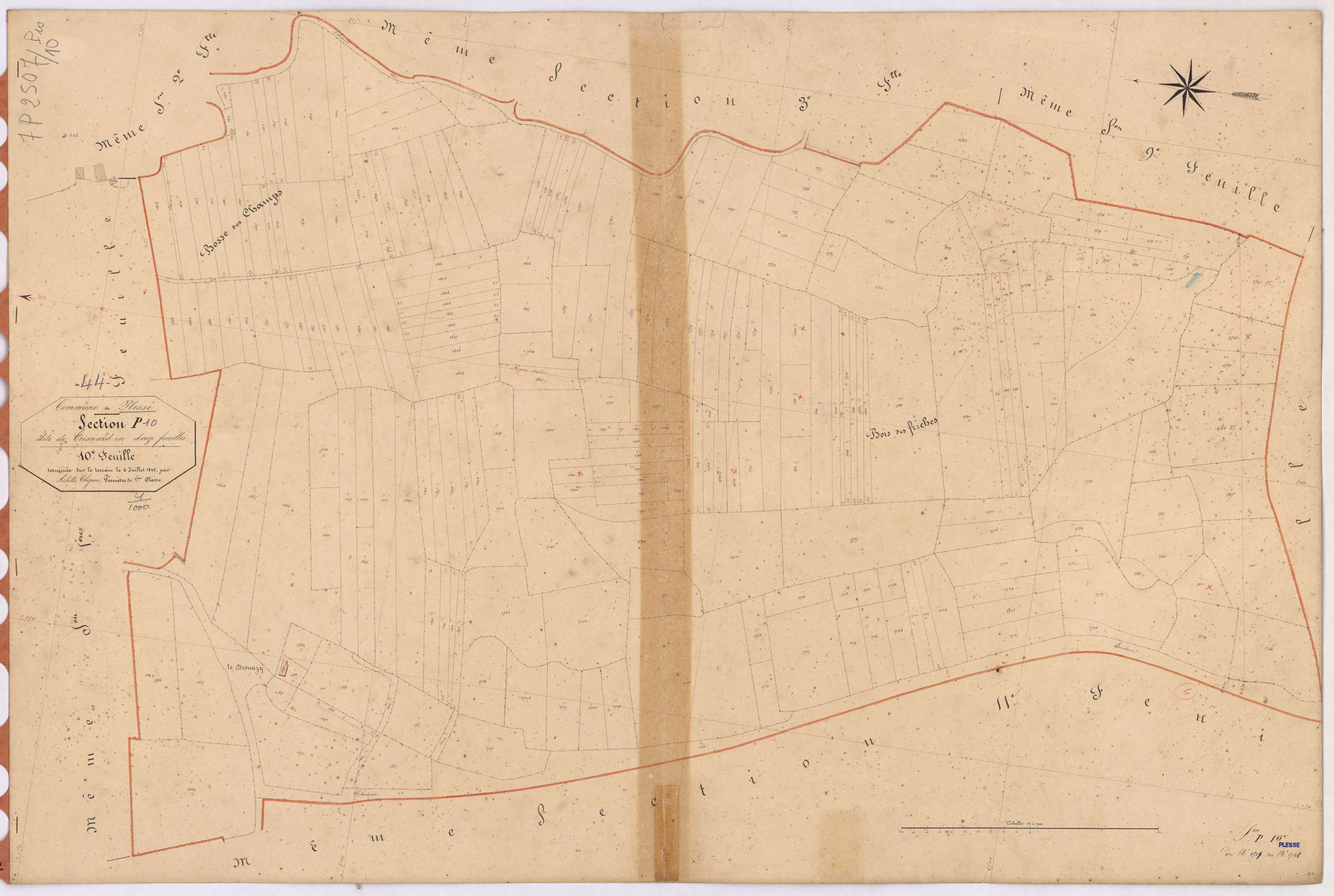 Plessé - Section P10 Tresnard (section de) ; 1507-1748