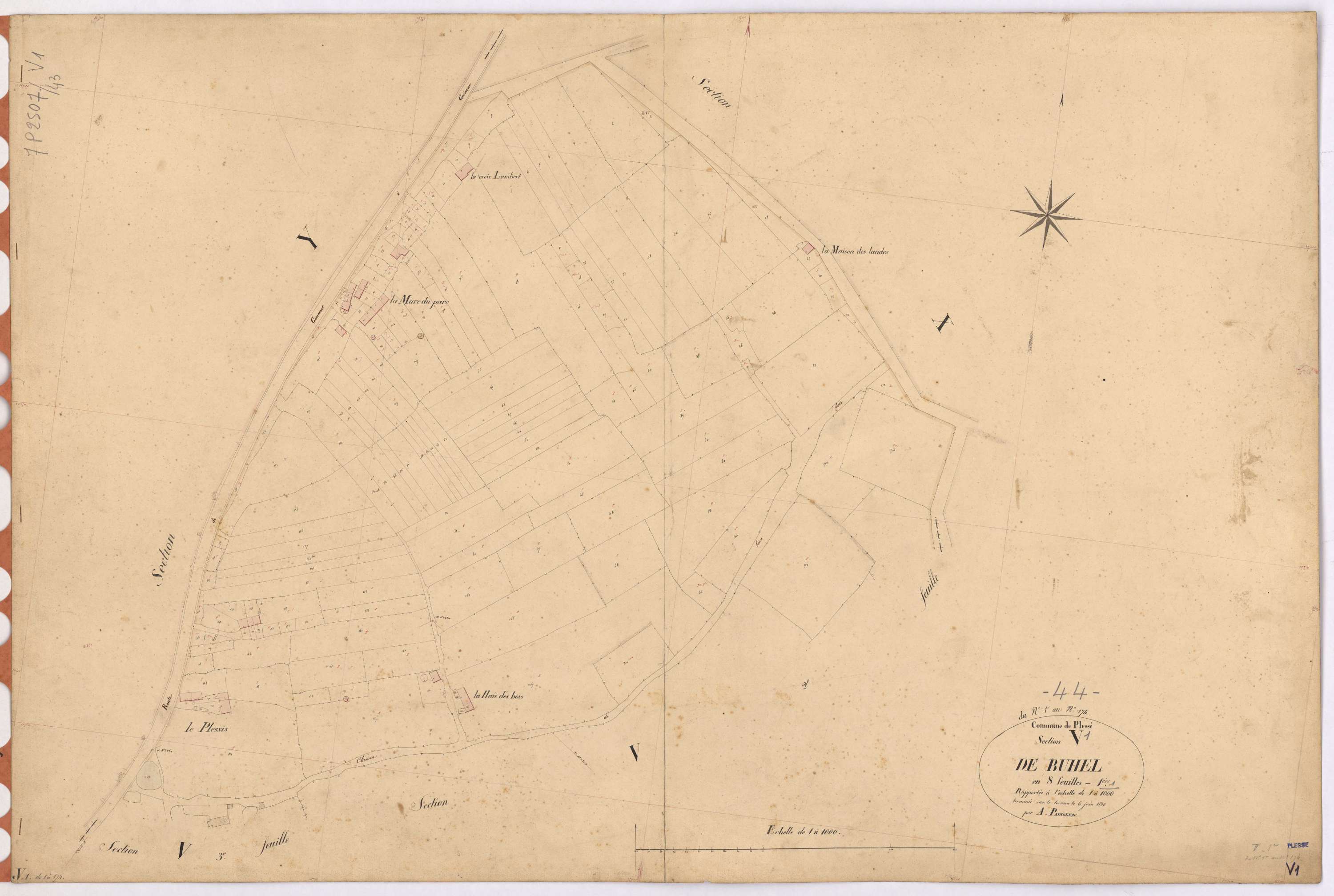 Plessé - Section V1 Buhel (section de) ; 1-174
