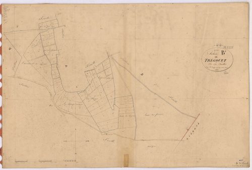 Plessé - Section B3 Trégouet (section de) ; 231-305