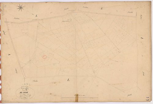 Plessé - Section L1 Ligou (section de) ; 1-135