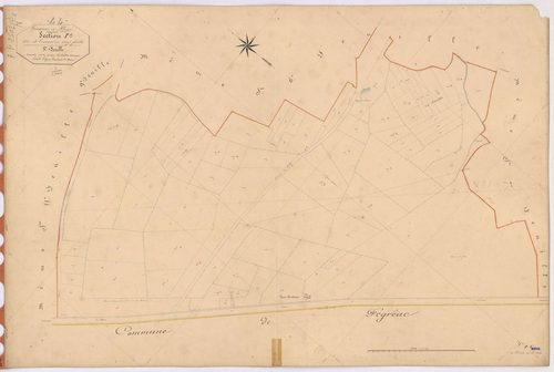 Plessé - Section P8 Tresnard (section de) ; 1215-1284