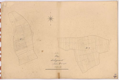 Plessé - Section T1 (développement) Guignaie (section de La) ; 1-390 ; développement de diverses parcelles