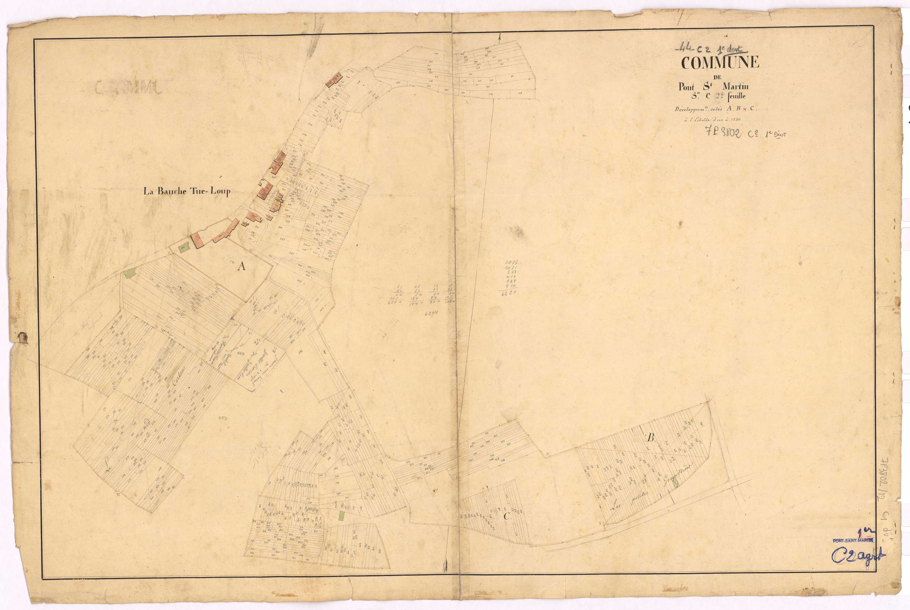 Pont-Saint-Martin - Section C1 (développement) Landes (section des) ; développement du village de La Bauche-Tue-Loup