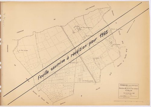 Prinquiau - Section B1 Haie de Besné (section de La) ; 1-333