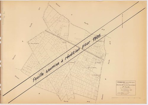 Prinquiau - Section B2 Haie de Besné (section de La) ; 334-740