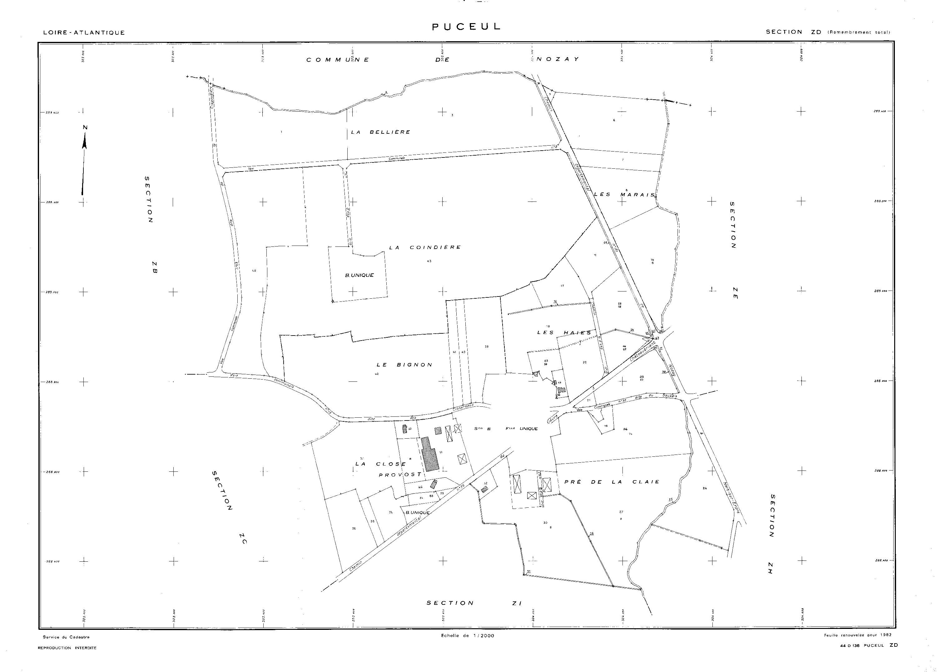 Puceul - ZD