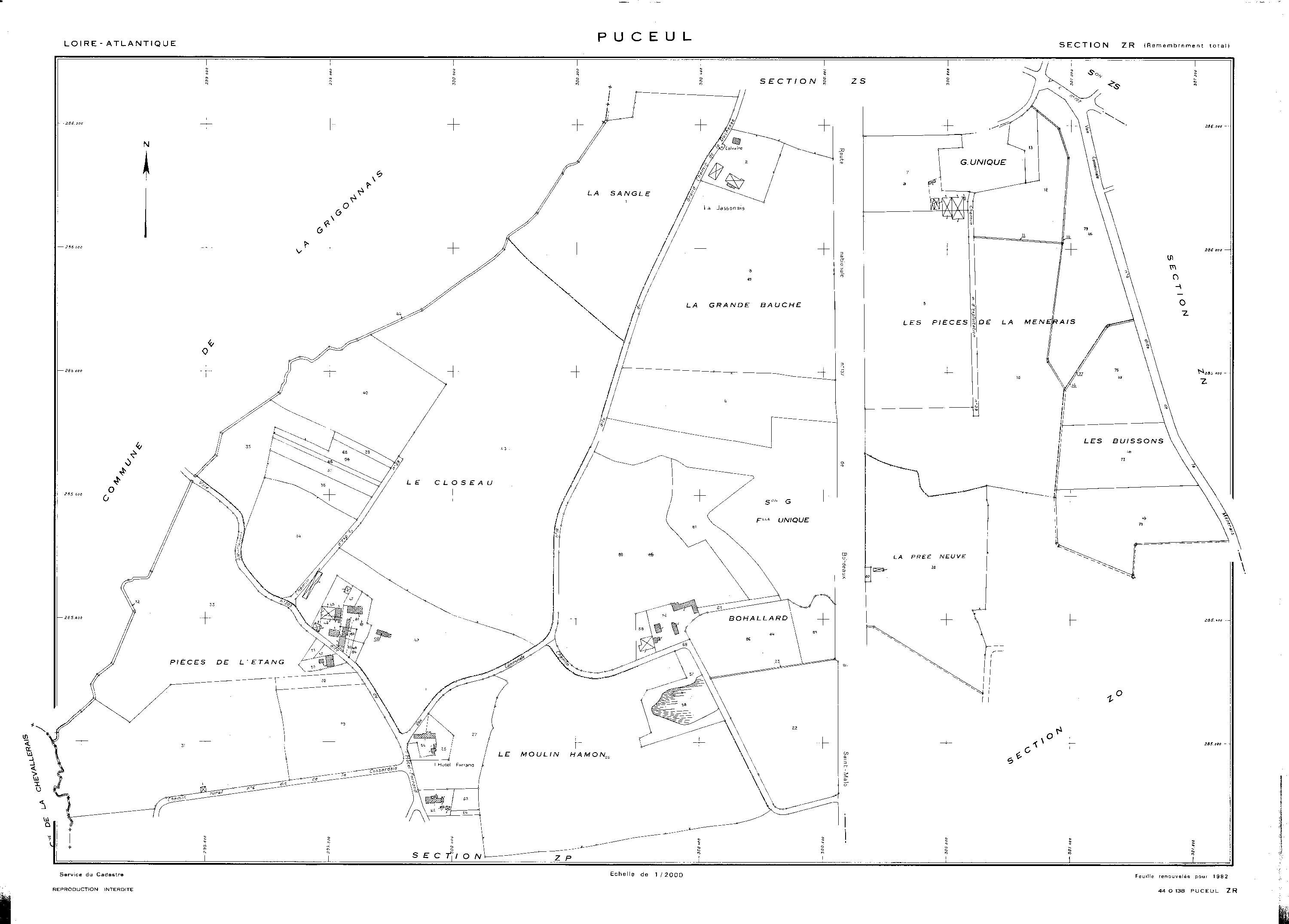 Puceul - ZR