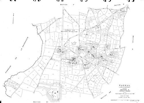 Puceul - G